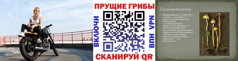Галлюциногенные грибы мухоморы  Купить где  Новозыбков 